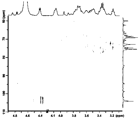 Cordyceps militaris glucan and preparation method and application thereof