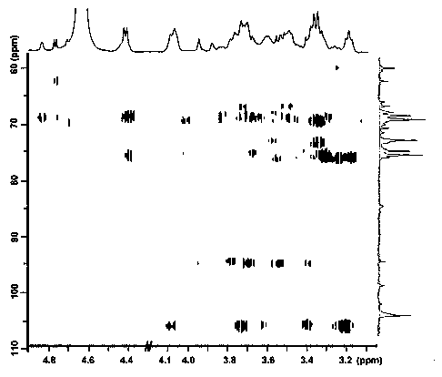 Cordyceps militaris glucan and preparation method and application thereof