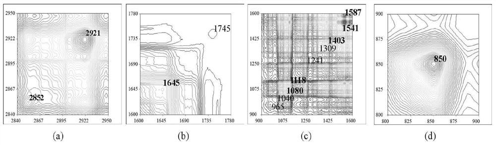 Method for rapidly and qualitatively detecting chemical components in marinated meat soup