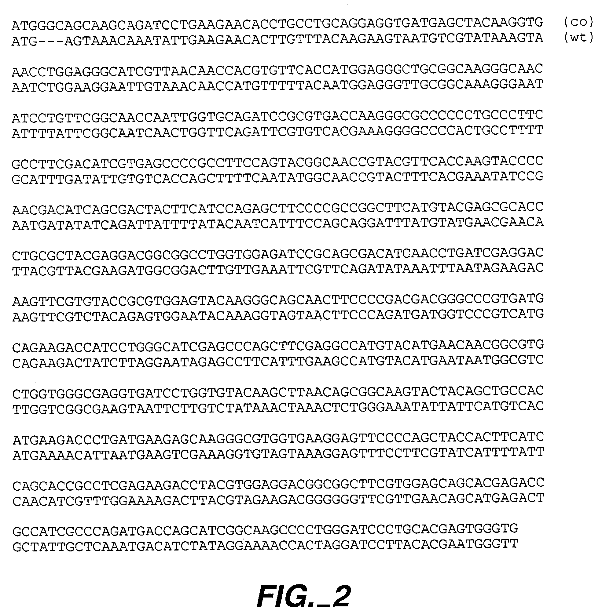 Methods and compositions comprising Renilla GFP
