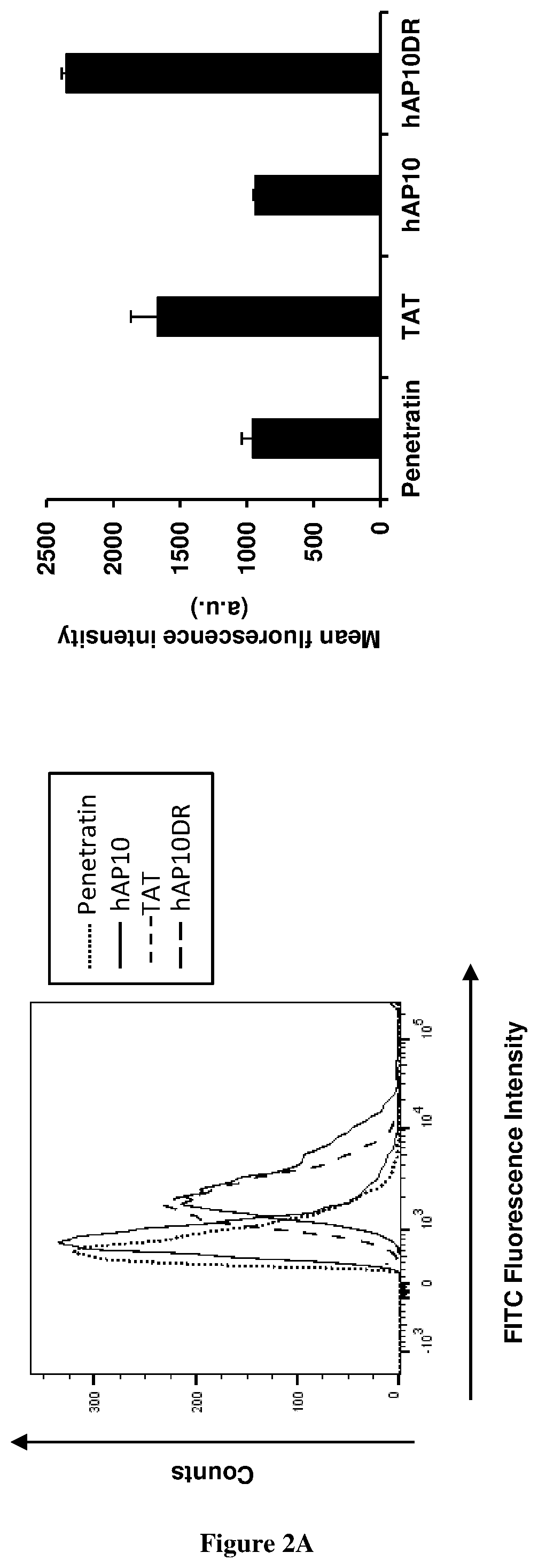 Cell penetrating peptides for intracellular delivery of molecules