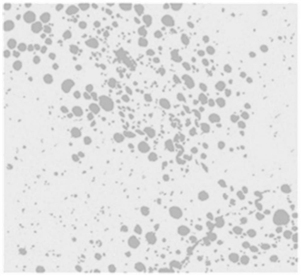 A method for constructing a three-dimensional simulation model of fatty liver tissue