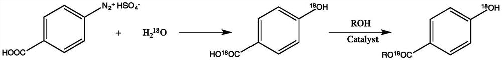 A kind of synthetic method of stable isotope 18o labeled parabens