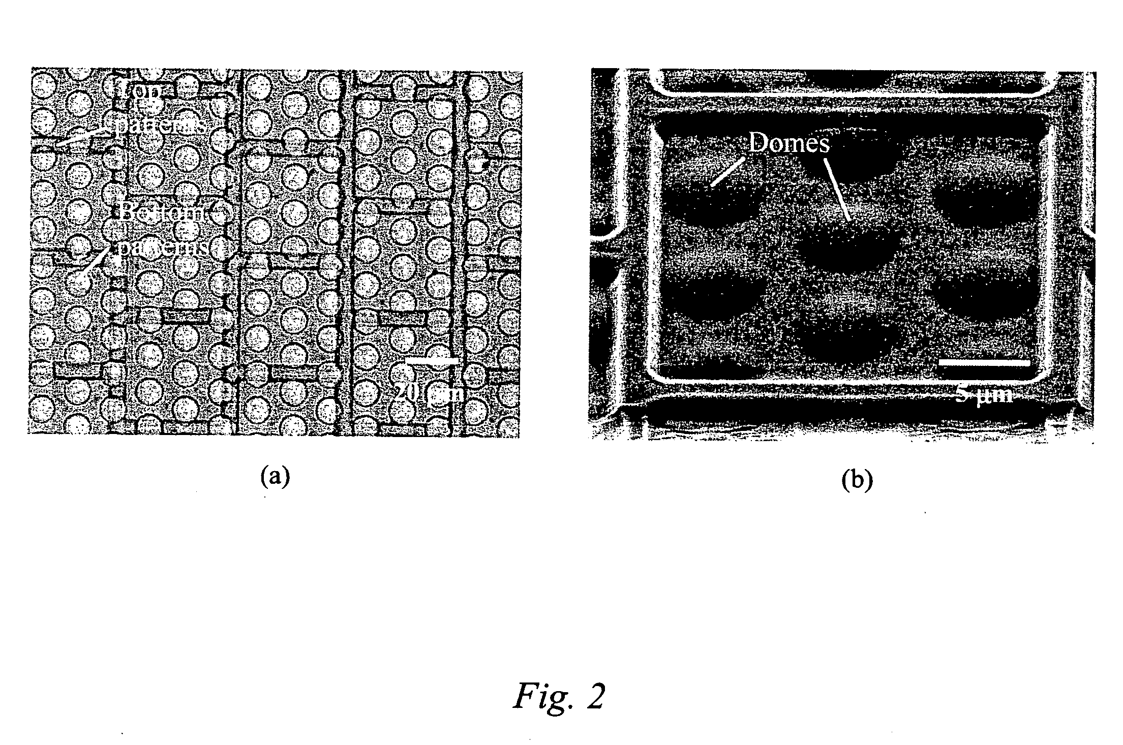 Method of imprinting shadow mask nanostructures for display pixel segregation