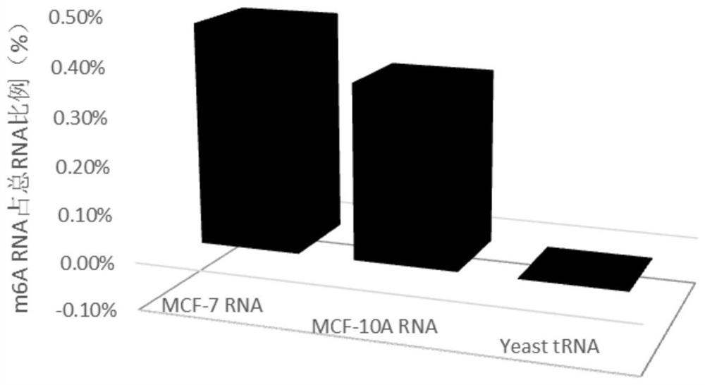 RNA methylation m6A detection method and reagent kit