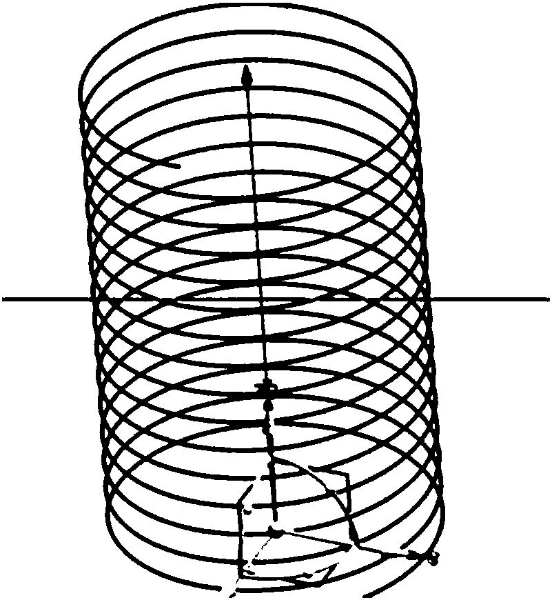 Method for cultivating spiral single plant trunk of genus Lagerstroemia