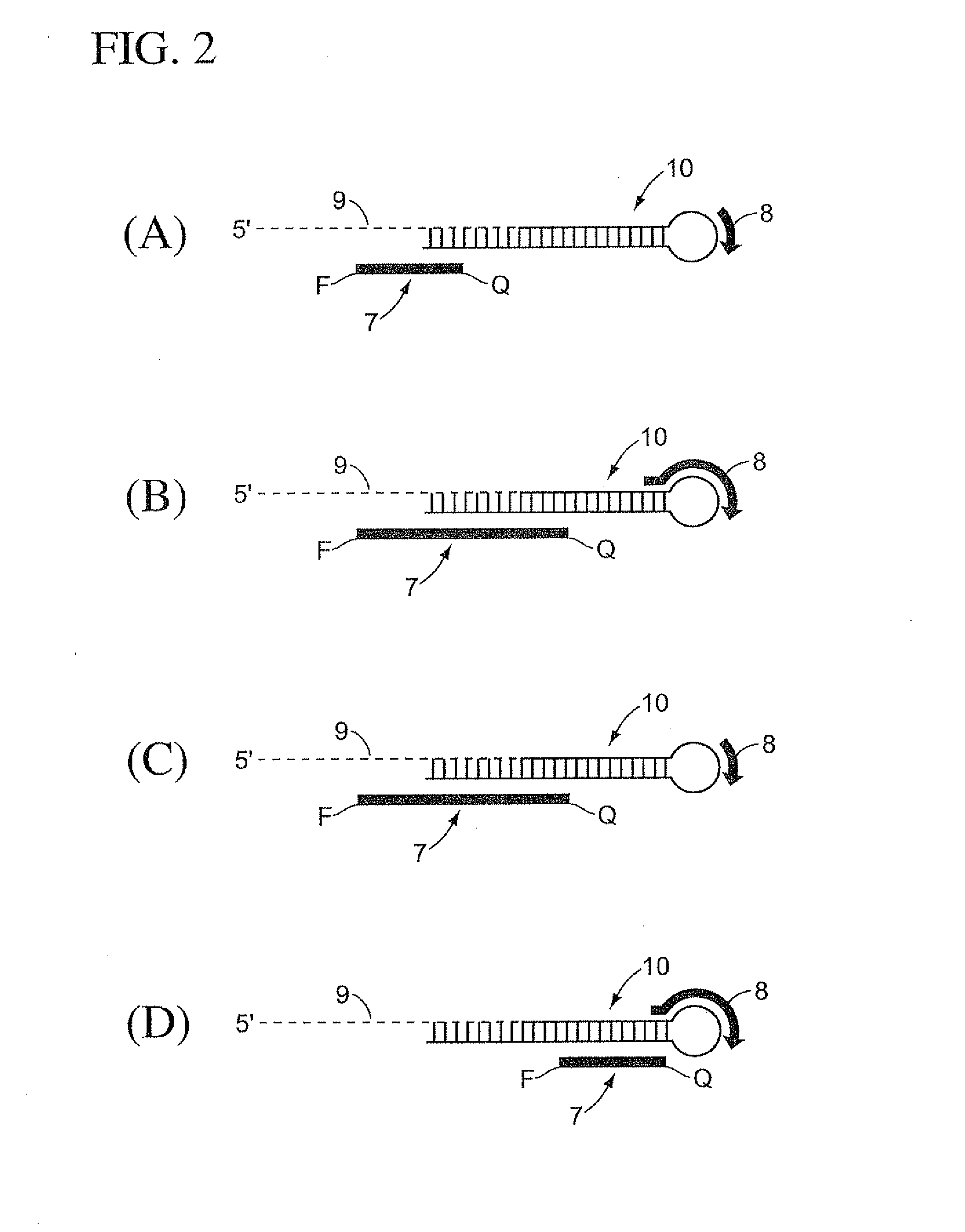 Methods, compositions, and kits comprising linker probes for quantifying polynucleotides