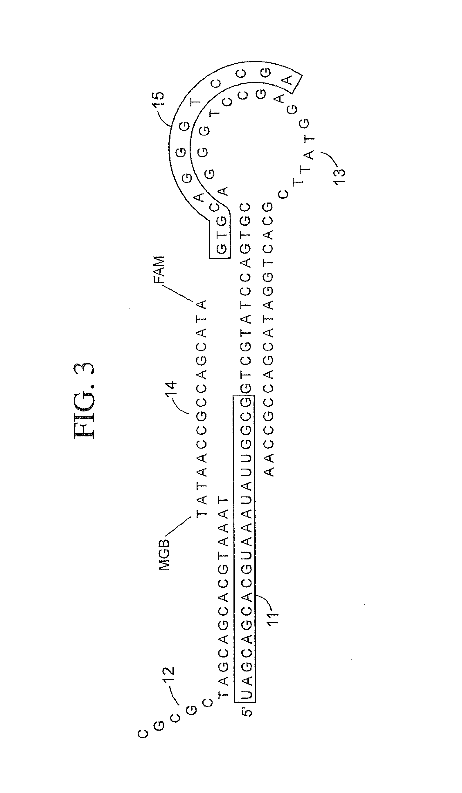 Methods, compositions, and kits comprising linker probes for quantifying polynucleotides