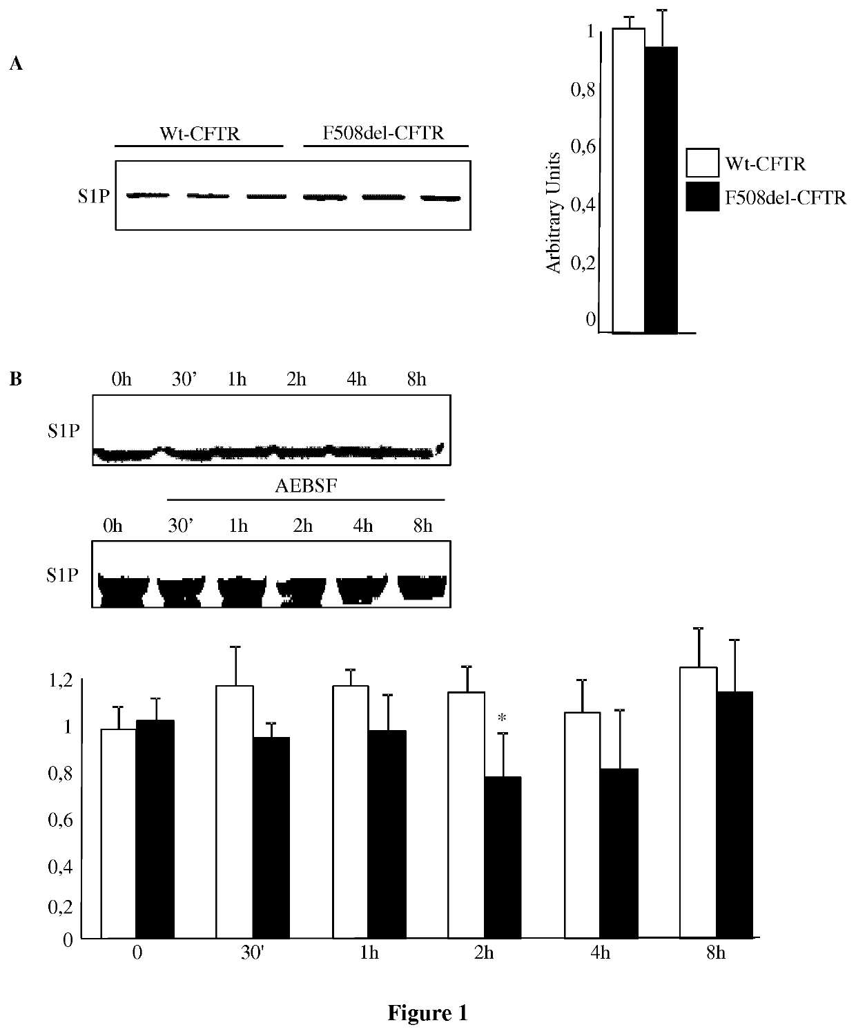 Methods and pharmaceutical compositions for the treatment of diseases associated with reduced cftr function