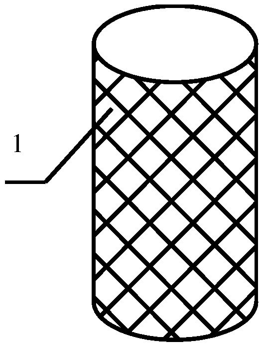 Magnesium alloy biliary stent and preparation method thereof