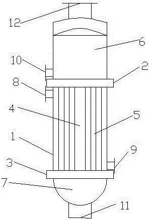 Central circulating tubular evaporator