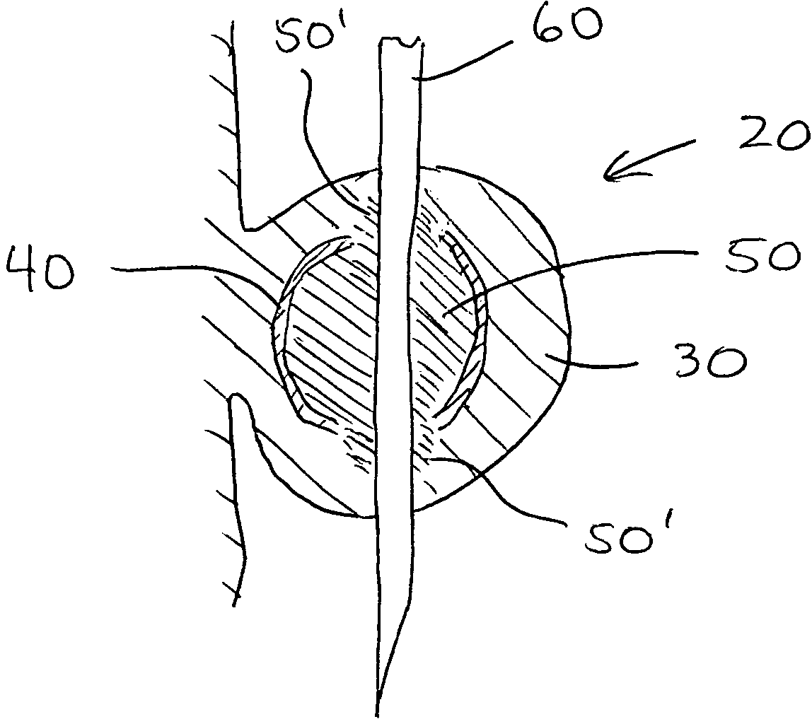 Prosthetic heart valves