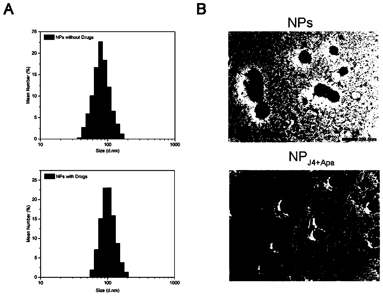 Preparation method of nano-drug and application of nano-drug in treatment of osteosarcoma