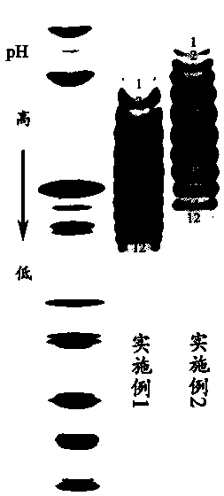 Glycoprotein multi-charge isomer post-translational modification evaluation method