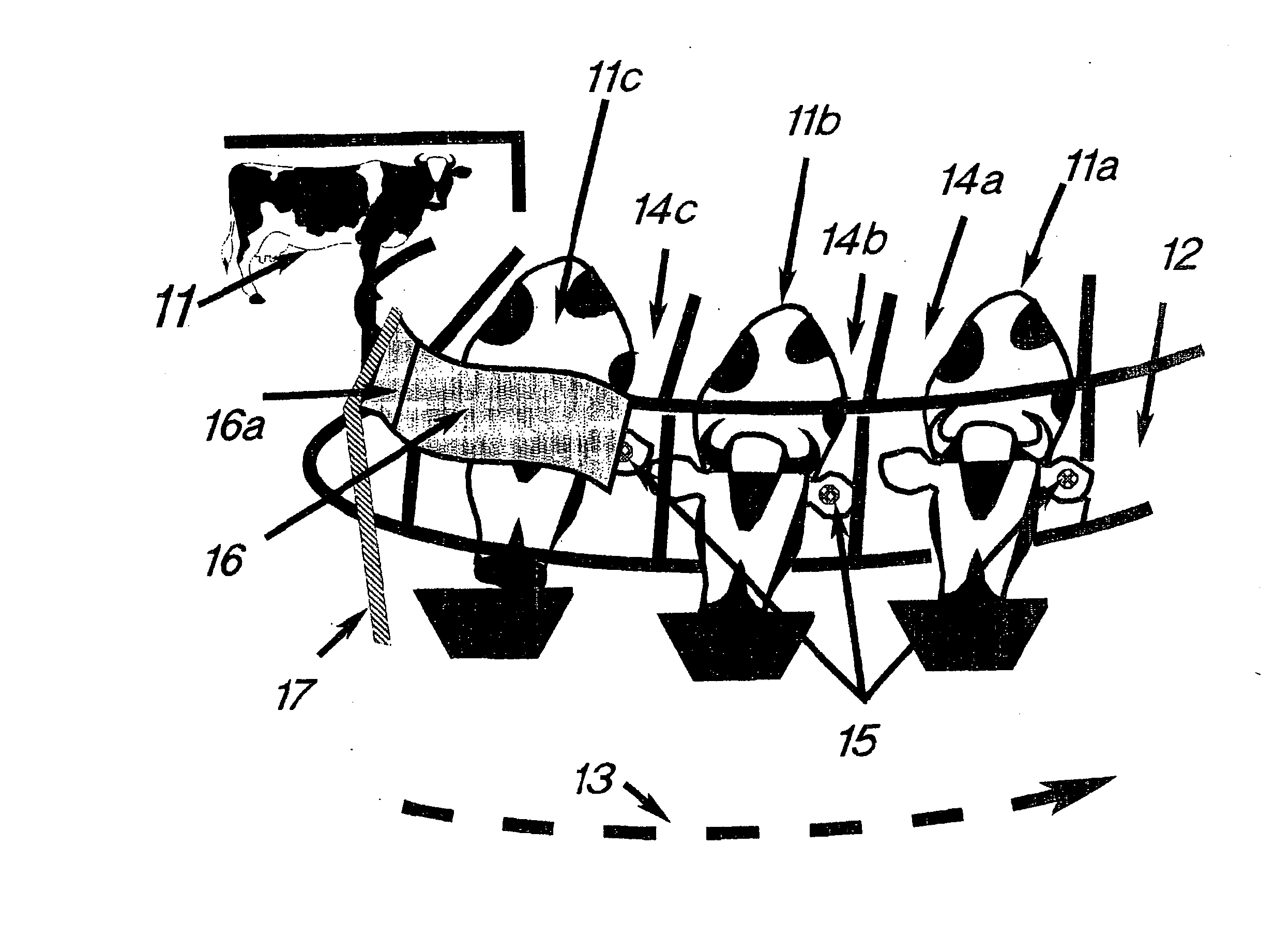 Identification System, Especially For Small Animals