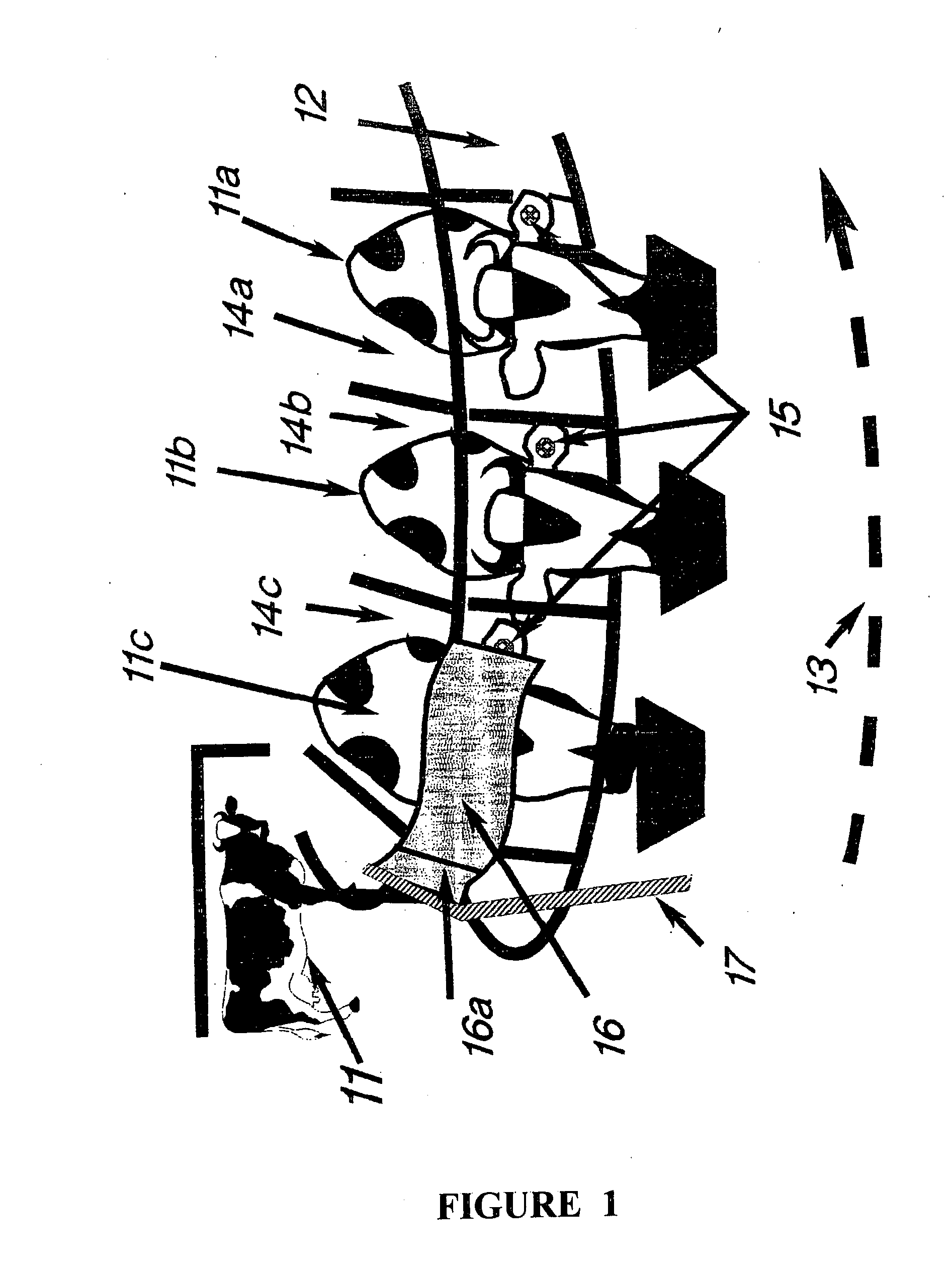 Identification System, Especially For Small Animals