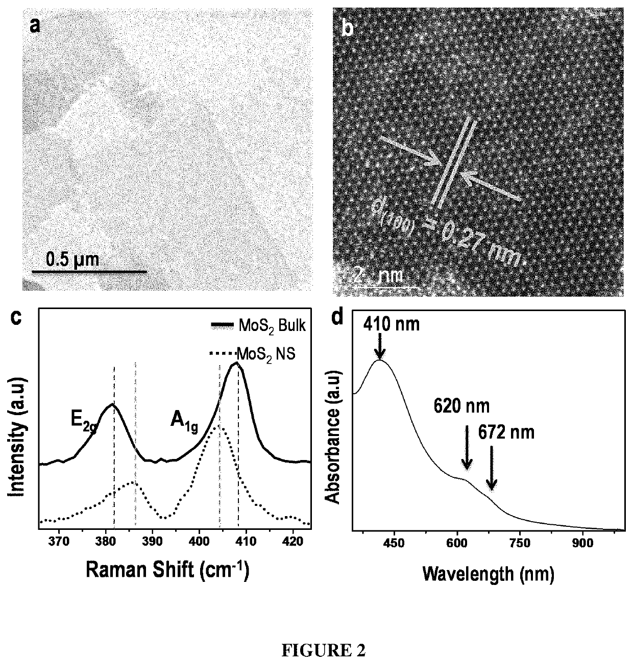 Method for creating nanopores in MOS<sub>2 </sub>nanosheets by chemical drilling for disinfection of water under visible light