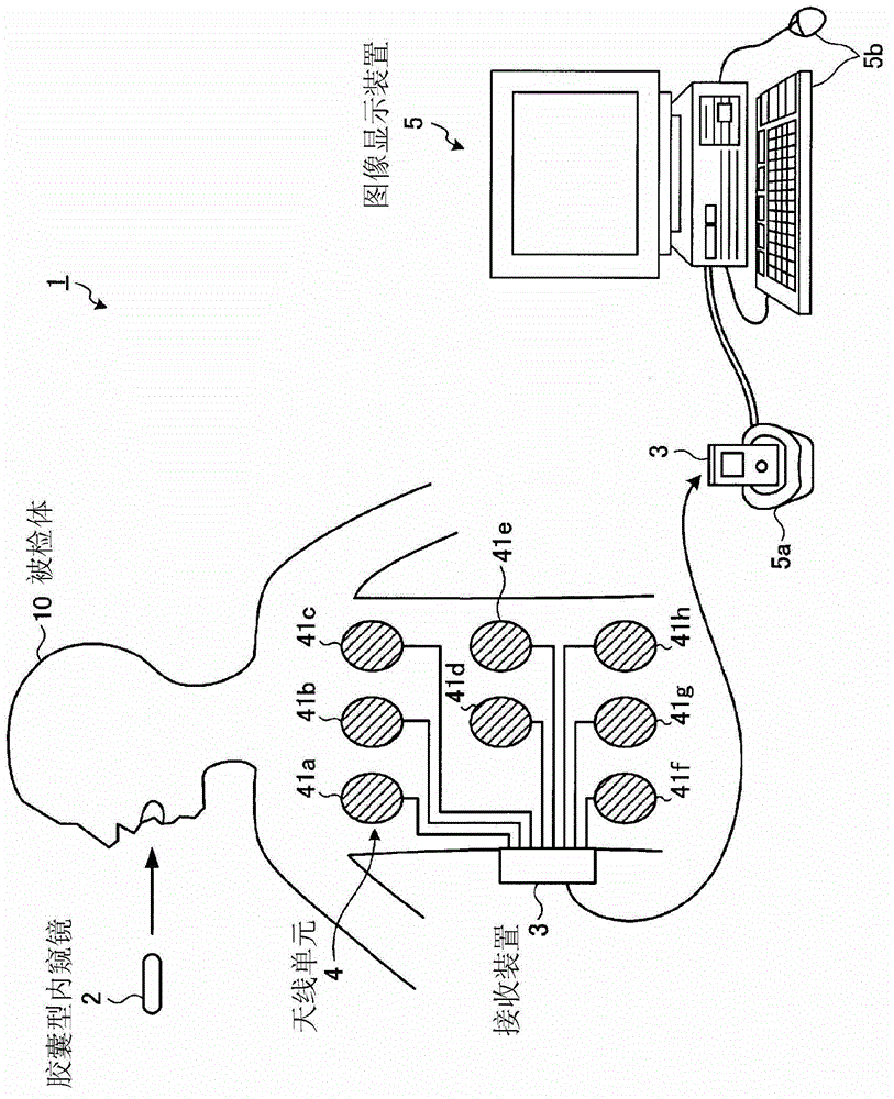 Image-display device and capsule-type endoscope system