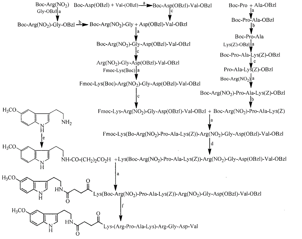 Pentamethoxytryptophanylcarbonylpropionyl-RPAK peptide, and preparation method, activities and applications thereof