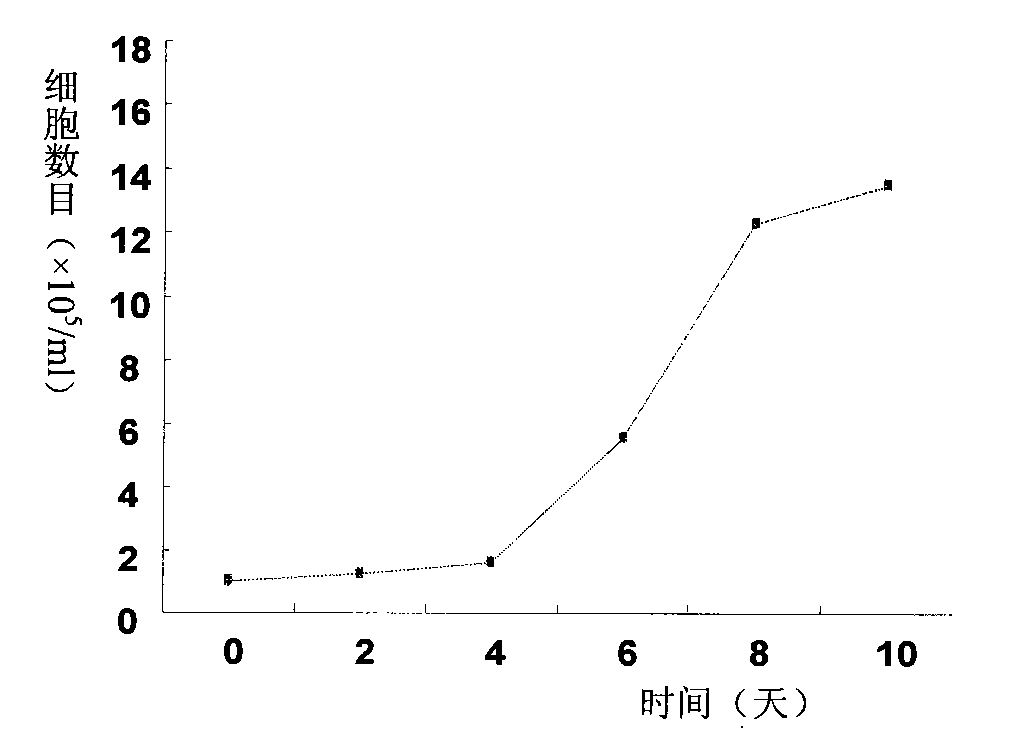 Natural killer cell and cultivation method thereof