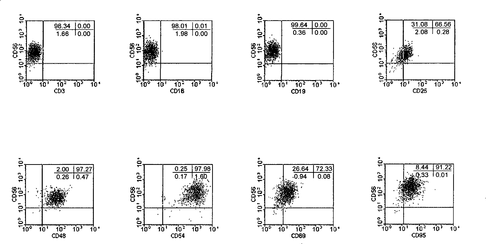 Natural killer cell and cultivation method thereof