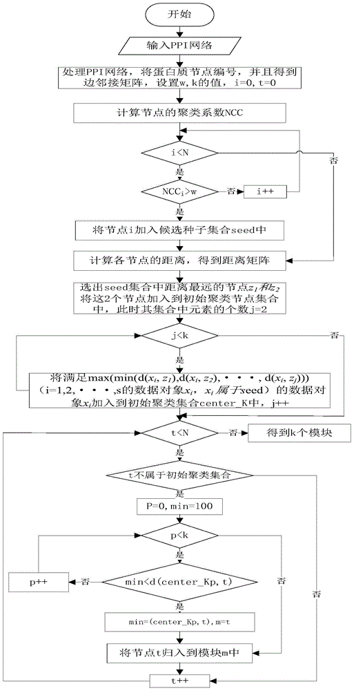 Method for identifying protein complex based on BSO (Brain Storm Optimization)