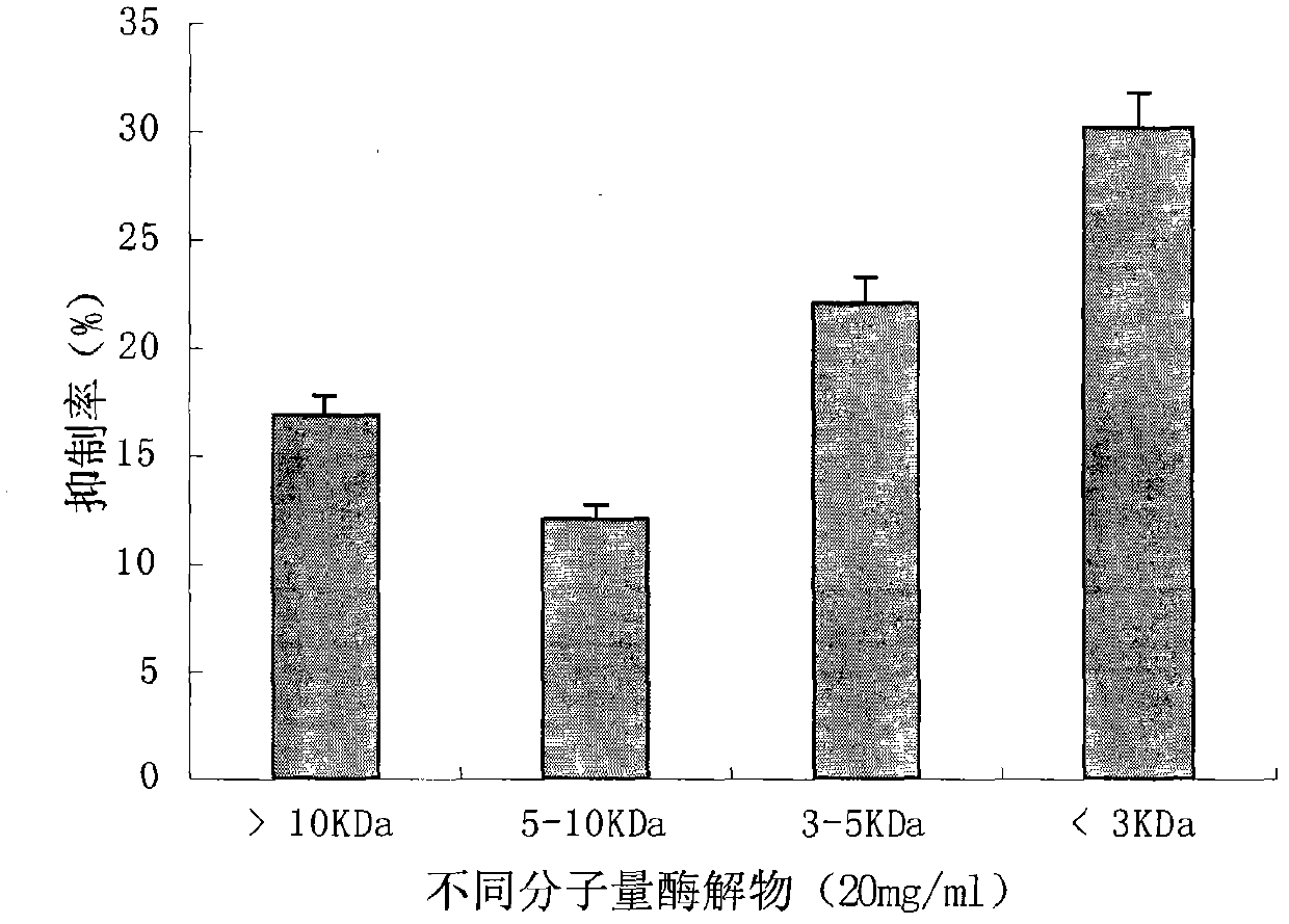 Mytilus edulis enzymolysis polypeptide and preparation method and application thereof