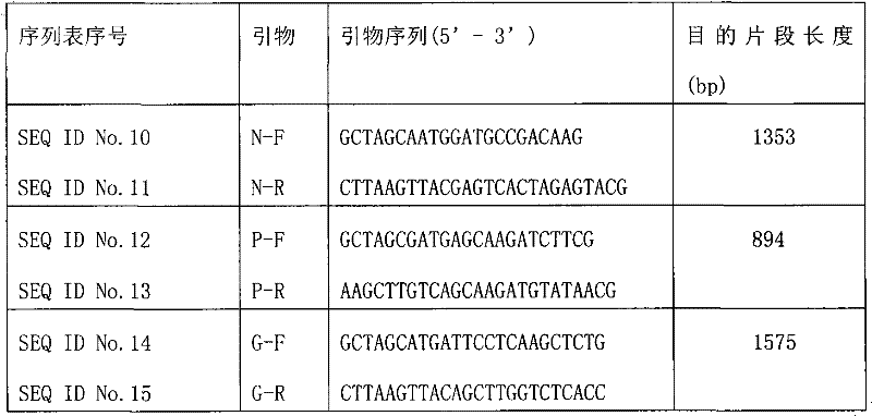 Rabies viruses CTN strain complete genome infectious cDNA cloning, and preparation and use thereof