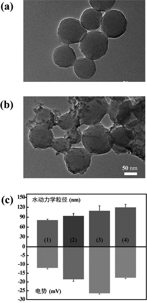 The construction and application of catalytic nanoparticles based on glucose oxidase/iron phosphate