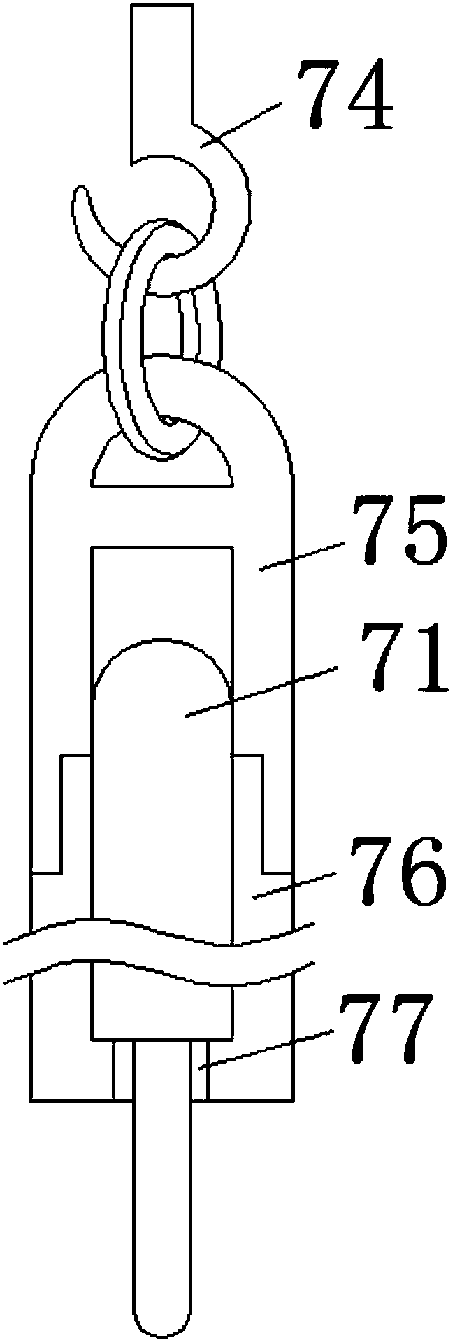 Thermometer detection device