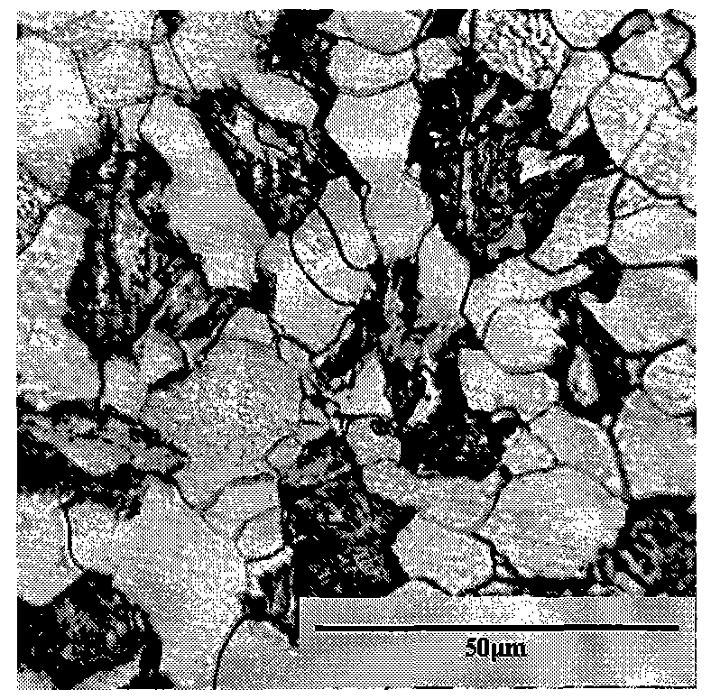 Boron micro-alloying low-carbon two-phase steel produced by hot continuous rolling process and its preparation method