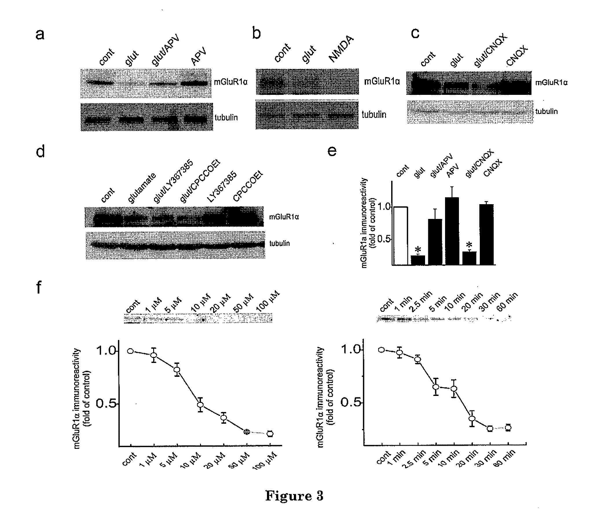 C-Terminal Domain Truncation of mGluR1a By Calpain and Uses Thereof