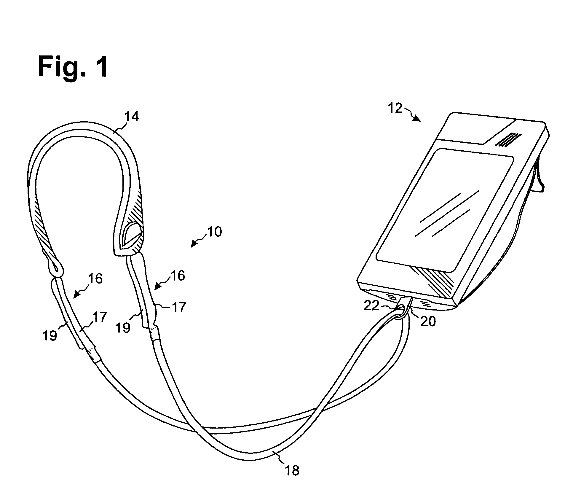 Carrier for a portable device