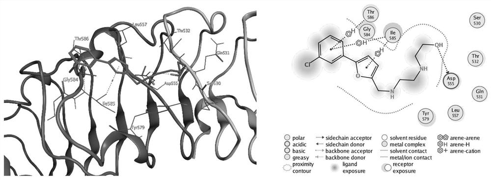 Use of 2-(ethylaminomethyl)-5-(phenyl)furan in the preparation of medicines for inhibiting tlr7/8