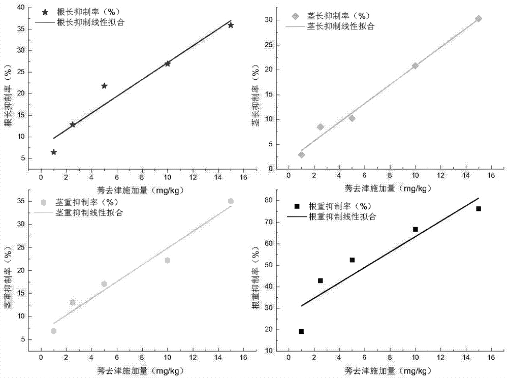 Method of utilizing broad beans to evaluate ecological toxicity of residual atrazine in soil