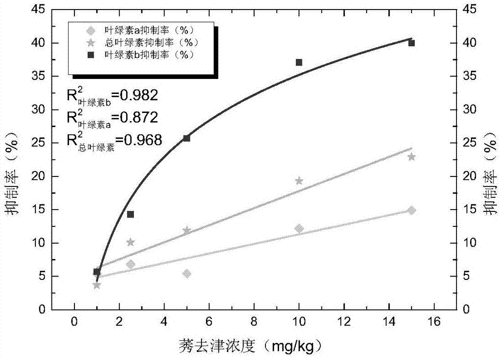 Method of utilizing broad beans to evaluate ecological toxicity of residual atrazine in soil