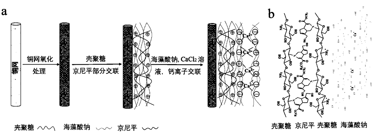 Production method of highly stable and biodegradable double-network oil-water separation net membrane