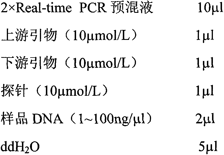 Method for identifying natural crocodile-skin leather