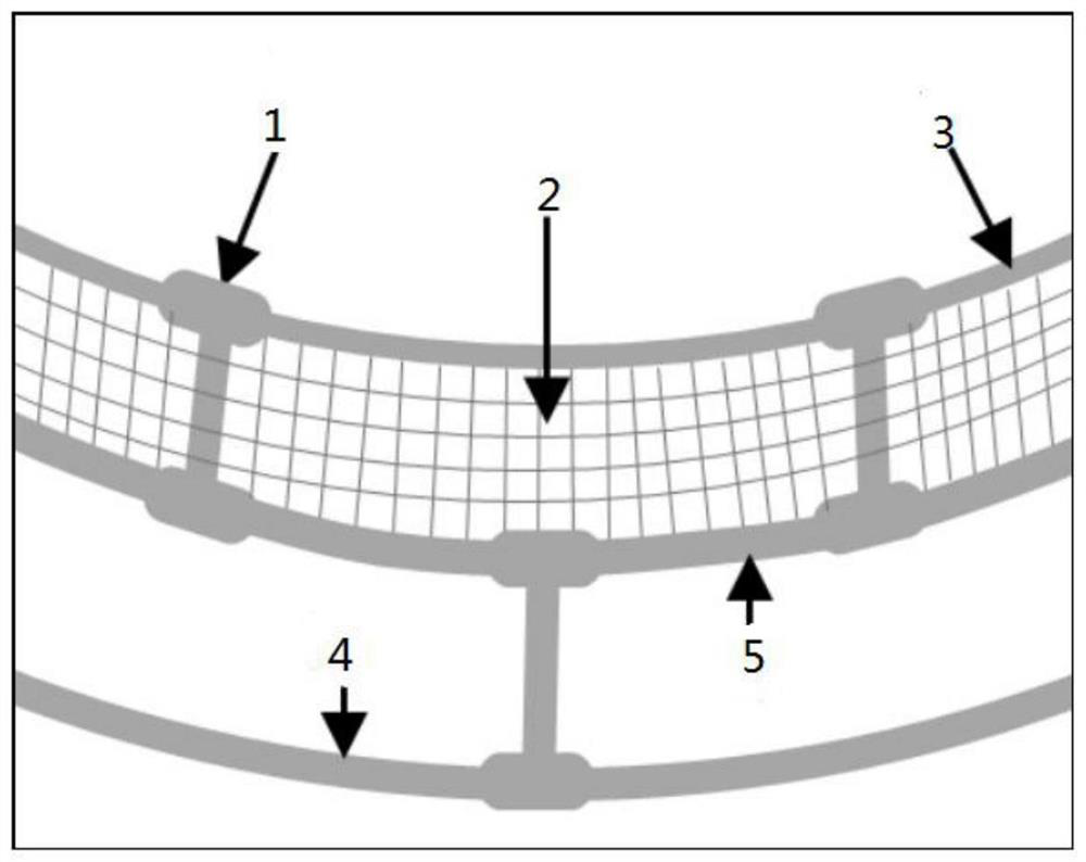 Floating frame for fixing myriophyllum elatinoides and method for treating eutrophic water body