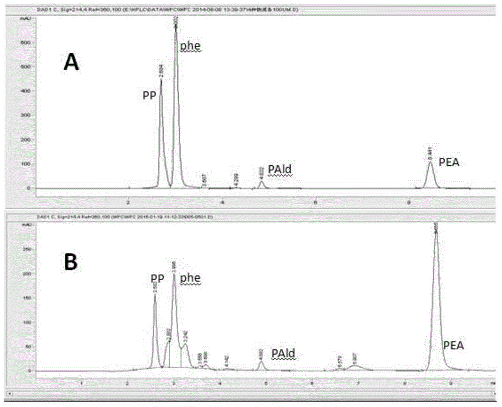 A genetically engineered bacterium producing 2-phenylethanol and an applying method thereof