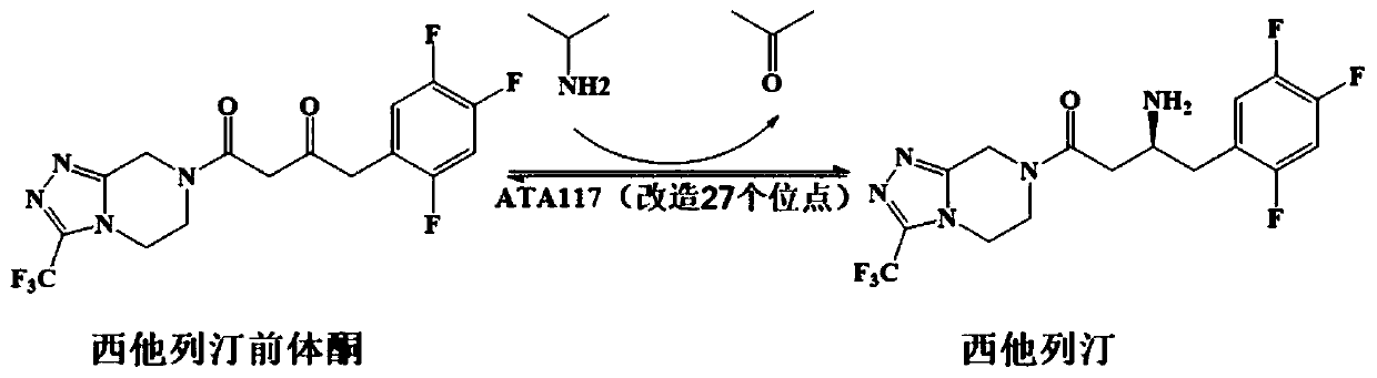 Recombinant R-type transaminase, mutant and application thereof