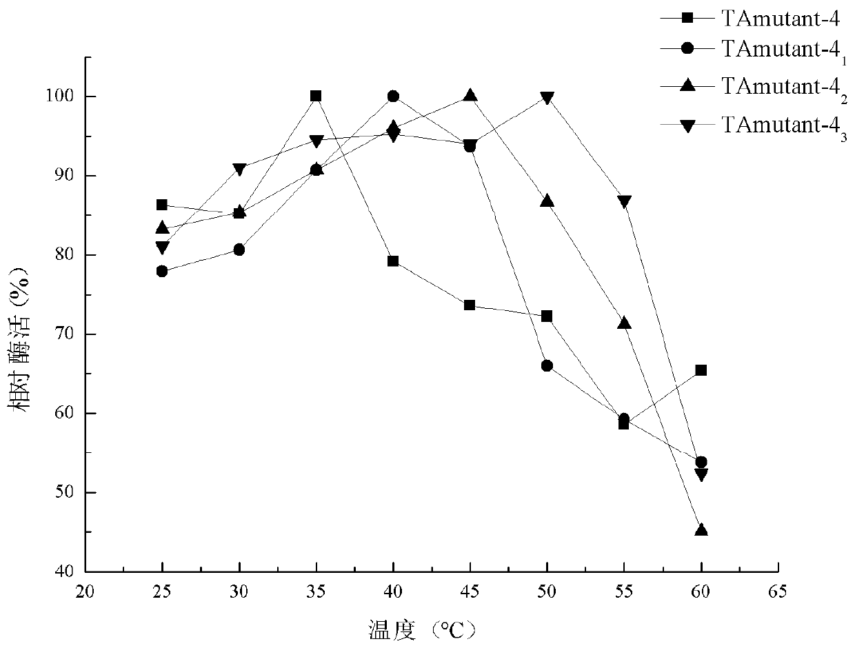 Recombinant R-type transaminase, mutant and application thereof