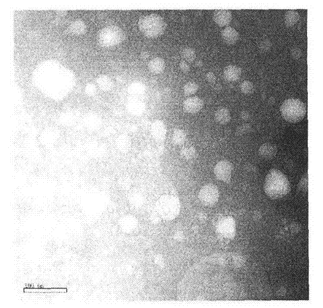 Tripterine nano structure lipid carrier and preparation method and application thereof