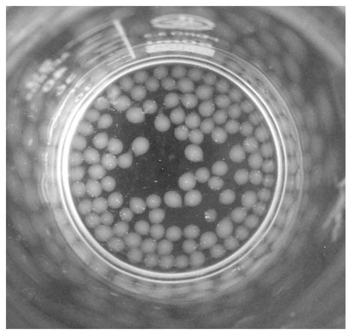 Anaerobic-Aerobic Dynamic Membrane Fouling Control Method Using Immobilized Quorum Sensing