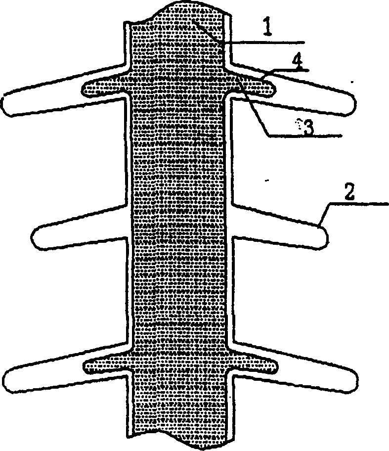 Compound insulator with umbrella-skirt structure