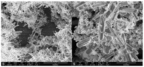 Preparation methods of rare earth and alkaline earth hexaboride nanowires, nanorods and nanotubes