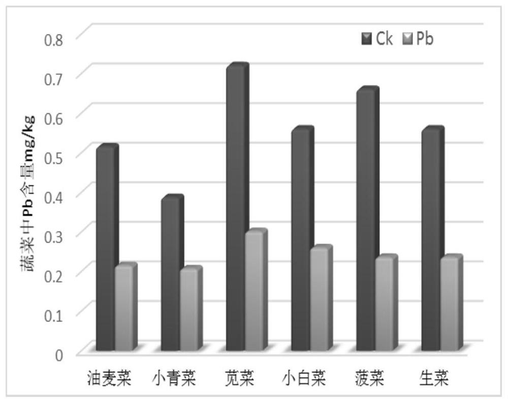 In-situ remediation agent for low heavy metal pollution of greenhouse vegetable land as well as preparation and application methods of in-situ remediation agent