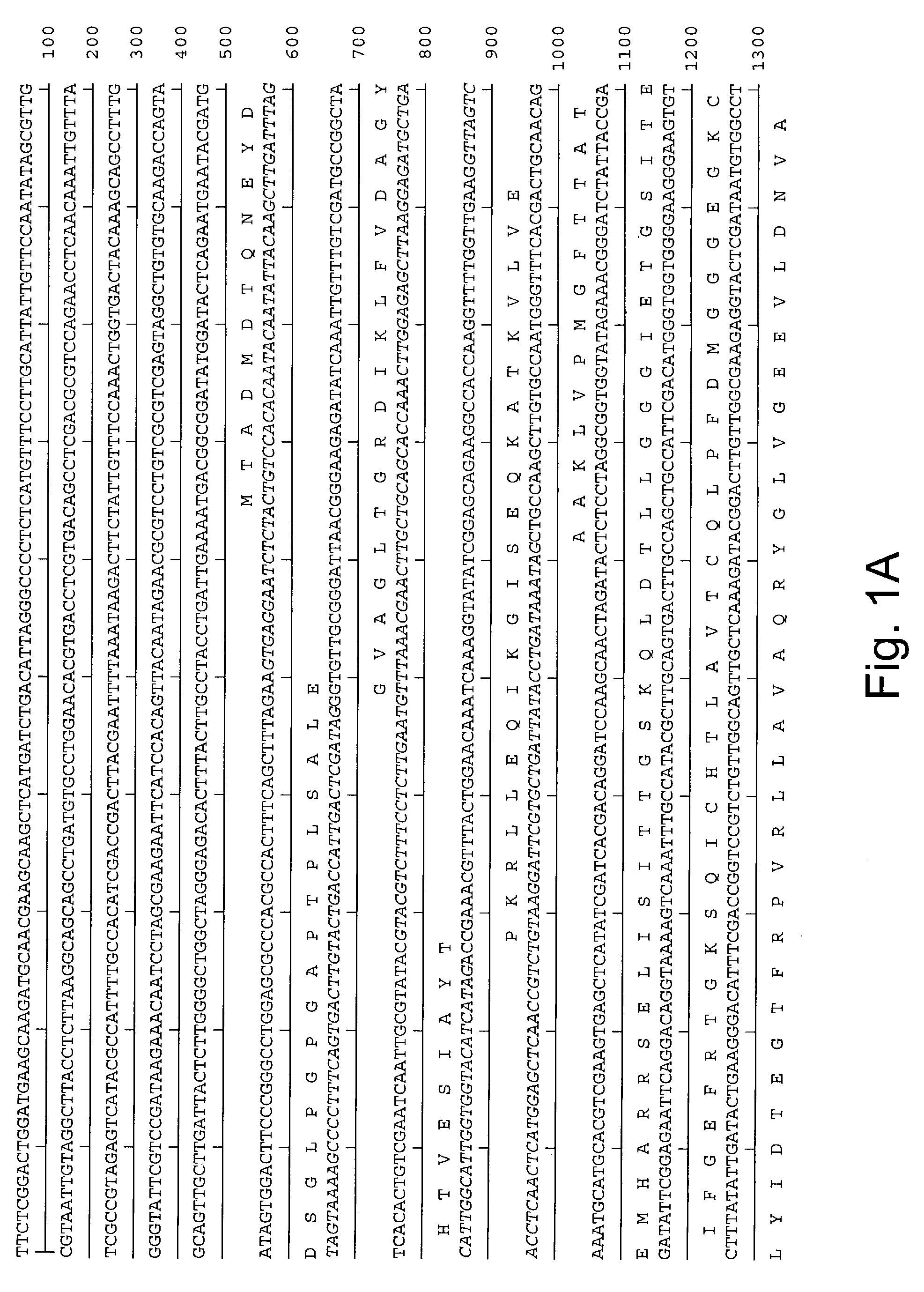 Methods for increasing homologous recombination of a nucleic acid sequence