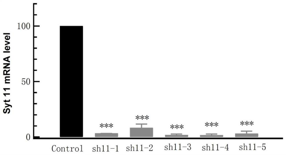 siRNAs, expression vectors and viral particles targeting synaptotagmin-11 and their pharmaceutical applications