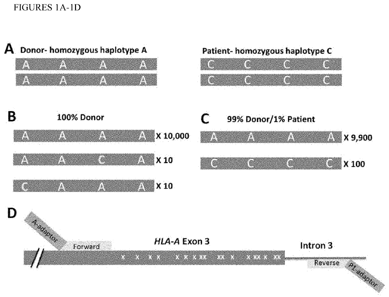 Platform independent haplotype identification and use in ultrasensitive DNA detection